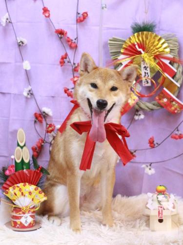 20230124ももちゃん